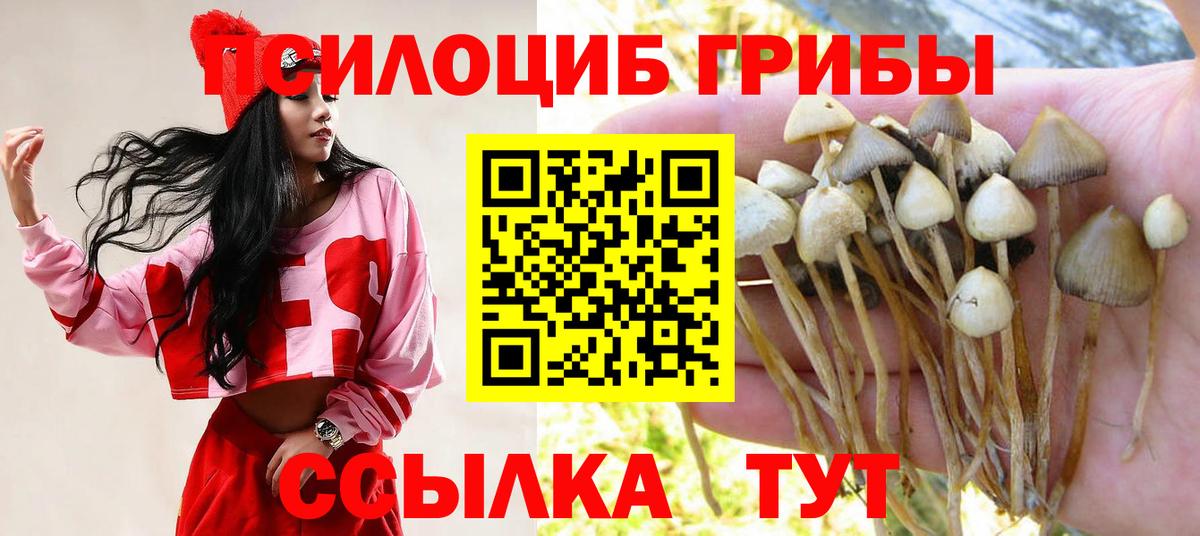 Галлюциногенные грибы мицелий  Вход с VPN  Кинель  Галлюциногенные грибы Magic Shrooms 