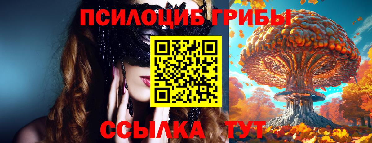 Галлюциногенные грибы прущие грибы Кинель